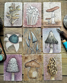 Mushroom Art Cards